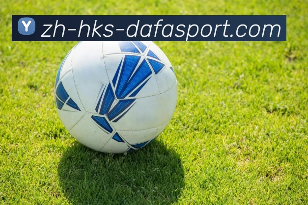 大发集团发展历程